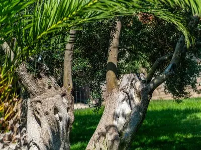 Assos Park Hotel BahÃ§e