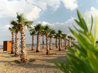 Assos Park Hotel Plaj